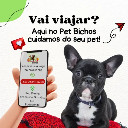 Hotelzinho Pet Bichos 