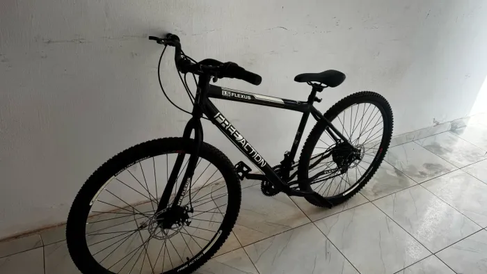 Bicicleta flexus