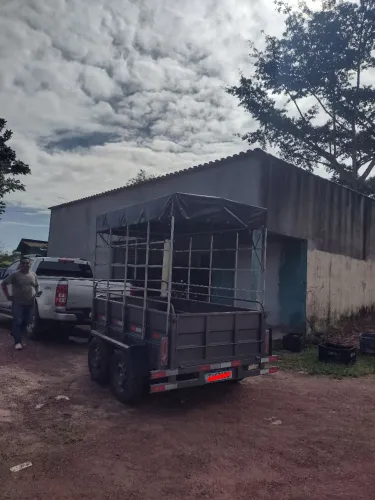 Carroça carretinha