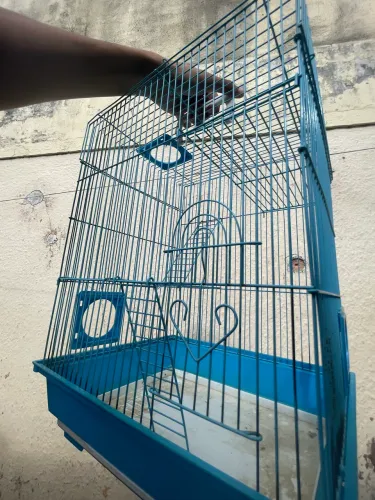 Gaiola porquinho da índia/Hamster