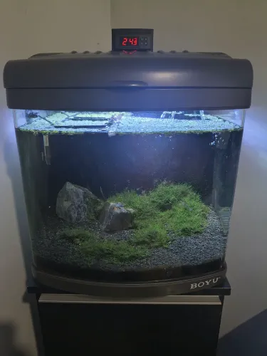 Aquário boyu 30L completo