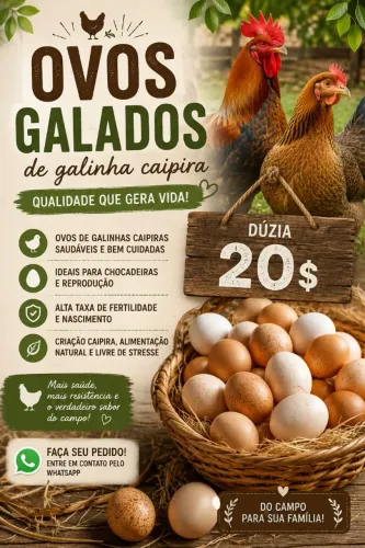 Ovos galados