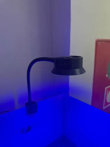 Aquário
