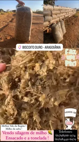 Silo ensacado 