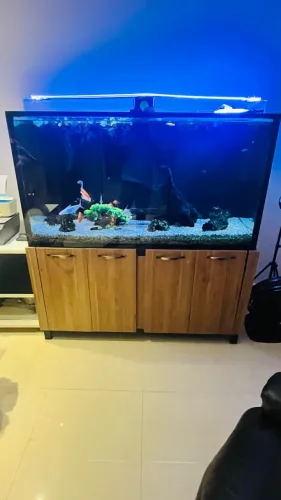 Aquario