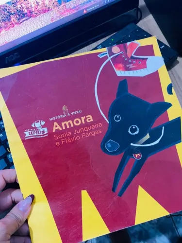 Livro Infantil Amora - Sonia Junqueira e Flavio fargas