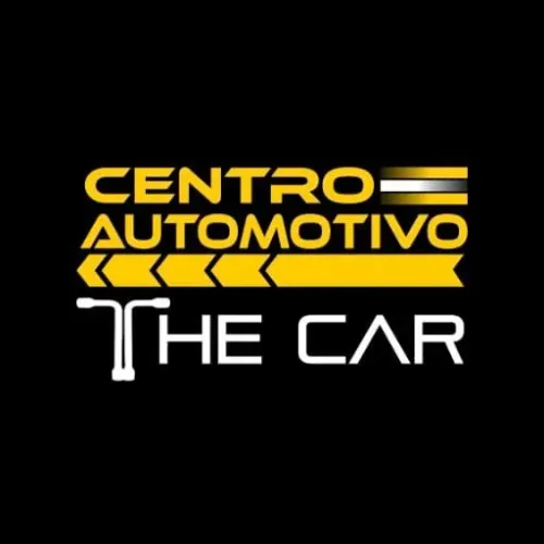 ELETRICISTA AUTOMOTIVO E AJUDANTE DE MECANICO