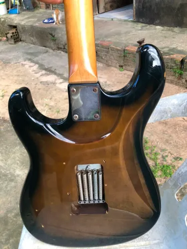 Guitarra Tagima