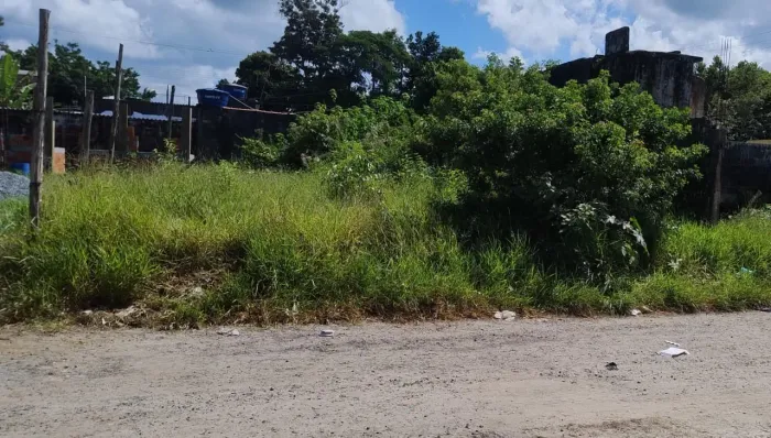 Terreno para Venda em Itanhaém, Jardim Coronel