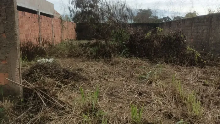 Terreno 