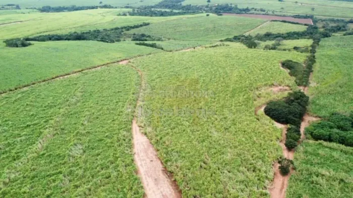 Sítio à Venda No bairro Área Rural de Olímpia