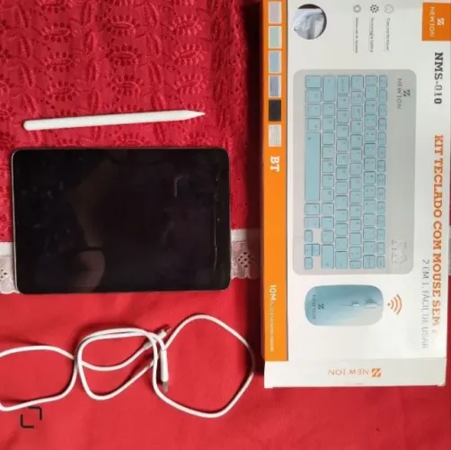iPad mini 2
