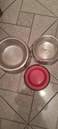Comedores para cachorro