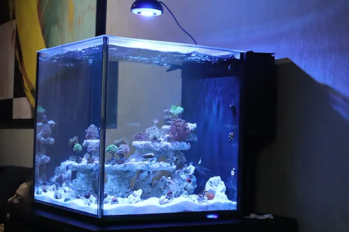 Luminaria para aquario