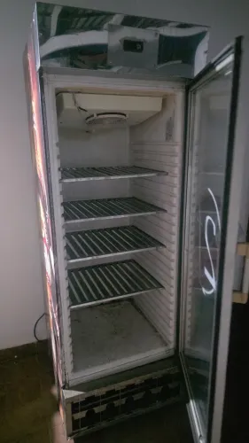 Freezer vertical