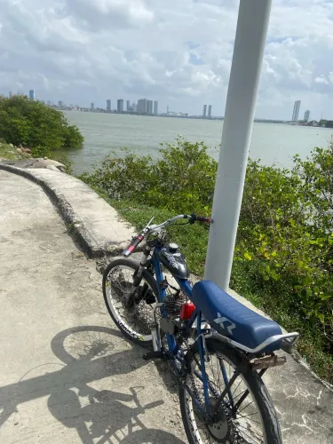 Vendo motorizada 