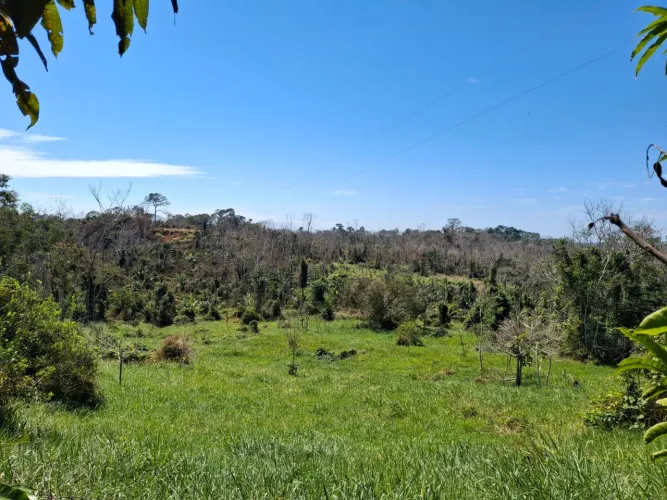 Vendo colônia no km 28 da Mario Lobão (Favo de Mel)