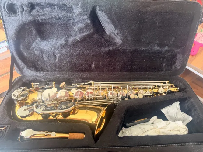 Saxofone Profissional novíssimo de tudo!