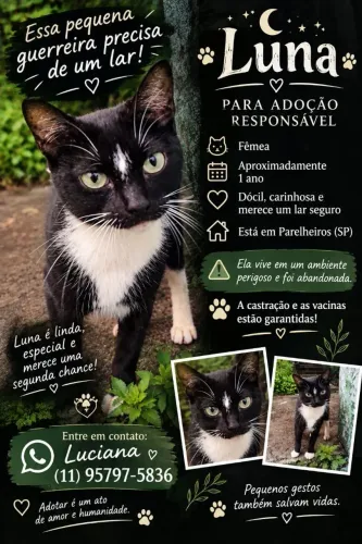 Doação 