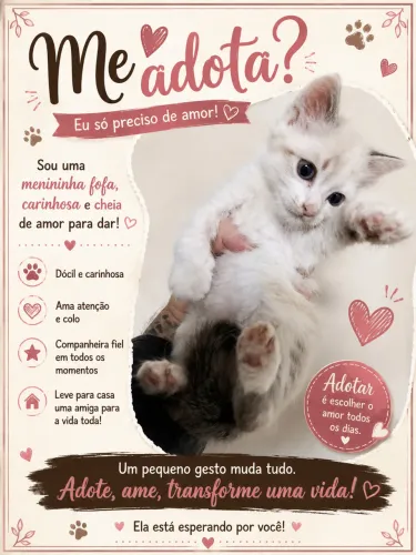 Doação de Gato