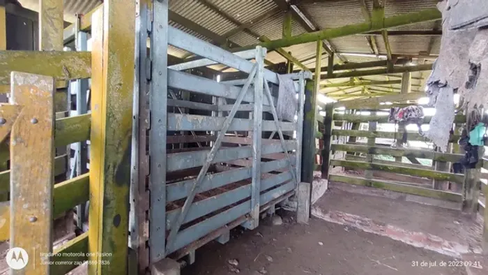 Dupla aptidão 350 alqueires no Pará há 250 km de Belém