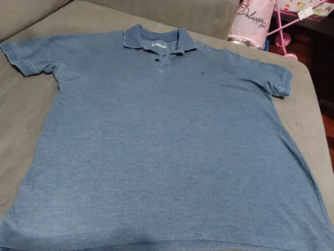 Polo Siberian