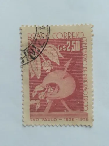Selo, cidade  de Ribeirão  Preto 