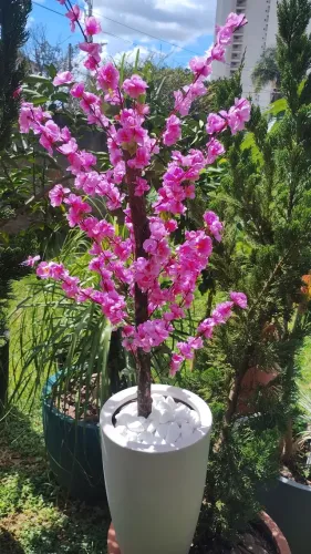 Vaso cerejeira japonesa artificial sakamura com tronco natural tamanho 1.5 mt