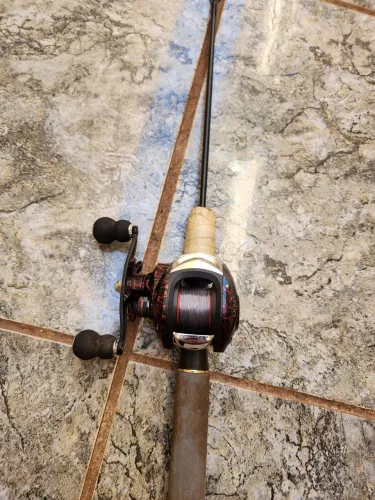 Carretilha com vara de pesca 