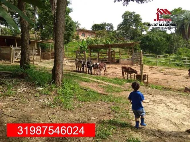 Sitio em condominio Fechado, mini fazenda.