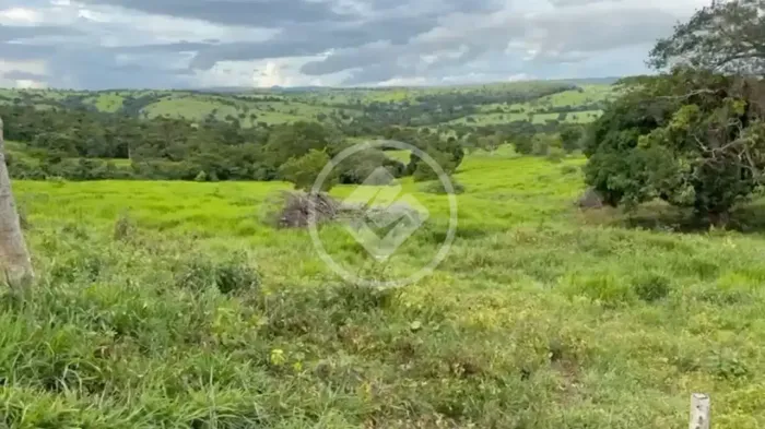 Fazenda a 5 km de Ivolândia-GO 38 Alqueires prontos para produção codigo: 133778