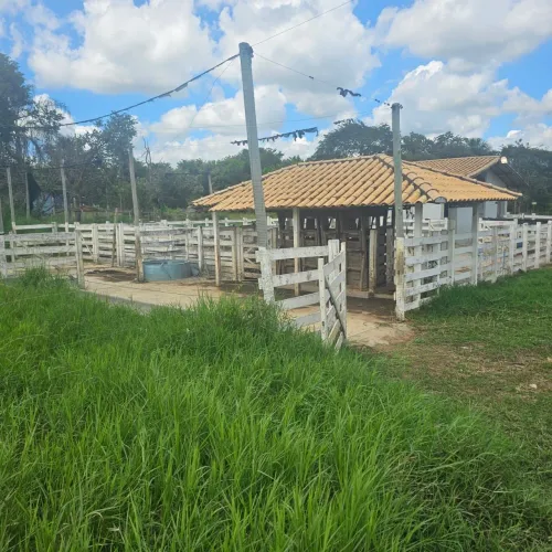 FAZENDINHA AS MARGENS DA BR 262 EM BOM DESPACHO MG