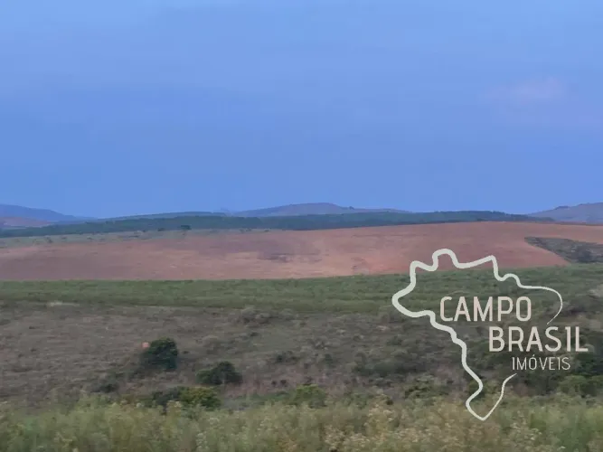 FAZENDA 163 HECTARES IDEAL PARA PLANTIO DE GRÃOS EM MINAS GERAIS !