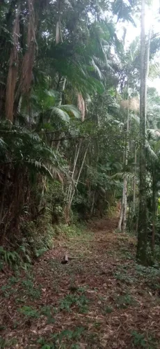 Vendo um terreno.
