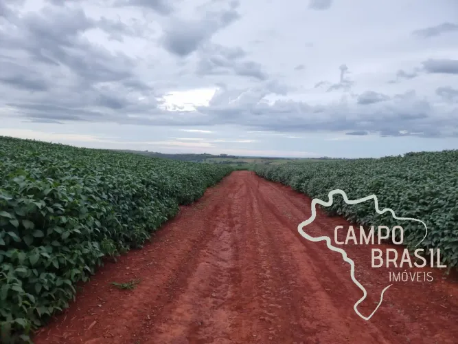 OPORTUNIDADE SUL DE MINAS GERAIS - FAZENDA COM 212 HECTARES !