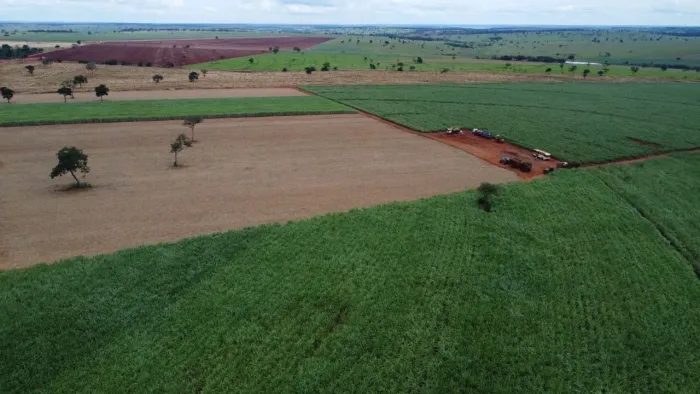 Fazenda no município de Carneirinho 
