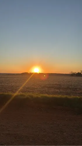 Vaga de emprego veja a descrição 