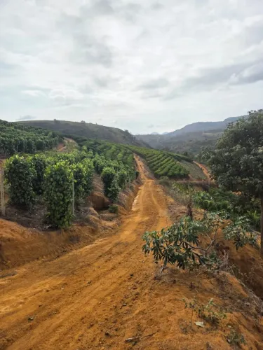 Terreno em Colatina (Córrego Barbados) 67.000 Metros