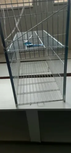 GATOEIRA (ARMADILHA PARA GATOS) GIGANTE
