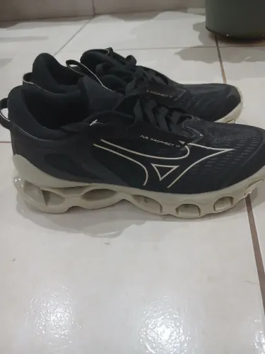 Mizuno prophecy 14