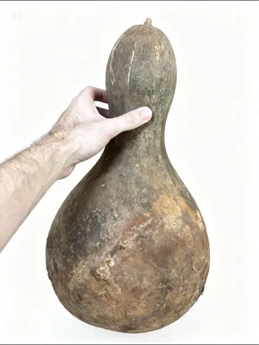 Cabaça de todos os tamanhos