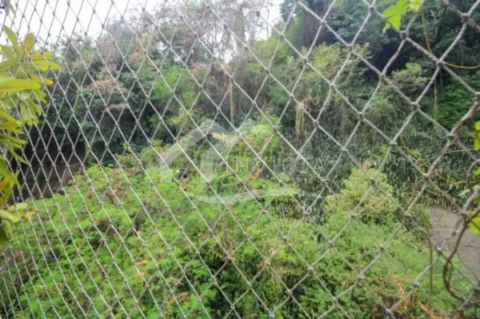 MARAVILHOSO 3 QUARTOS COM VISTA VERDE NA AV. PASTEUR