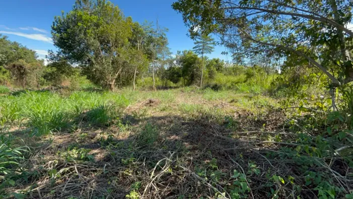 Terreno em Manacapura /Beira de Pista Estrada 10Hec