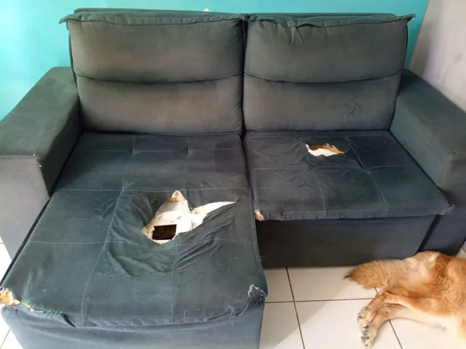 Vendo