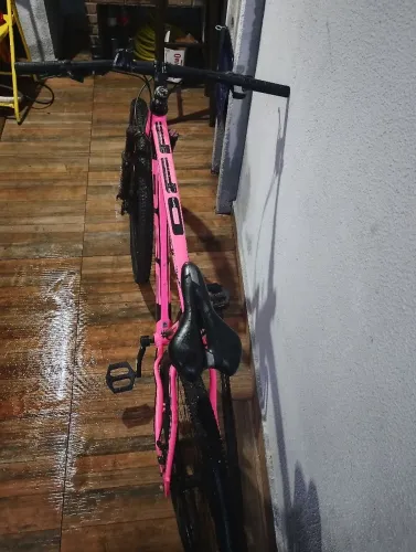 Bicleta Firefly aro29