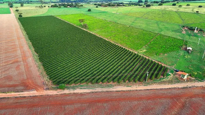 Excelente Oportunidade! Imóvel Rural à Venda em Bilac/SP<br>