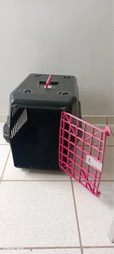 Caixa transportadora Pet