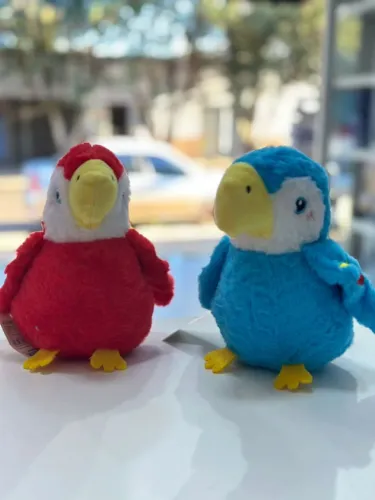 Bichinhos de pelúcia Fofos - araras e ursinhos 