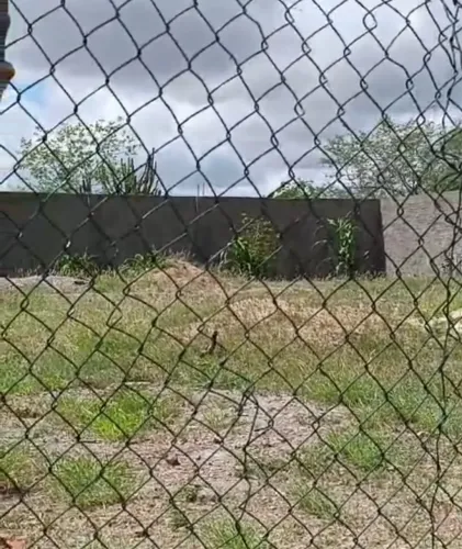 Terreno no Cidade Maria Luiza, Bairro Mandacaru, Riachão do Jacuipe- BA.