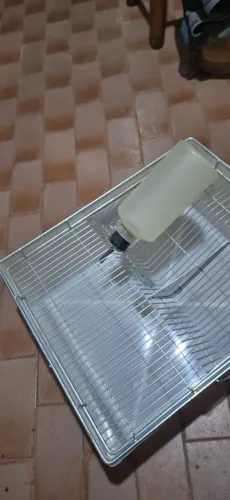 Caixa de bioterio